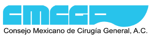 logofondotransparente307x80